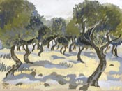 Study of Olive Grove, Kaditah<br>8.5
